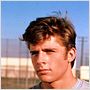 Grease 2 - Os Tempos da Brilhantina Voltaram
