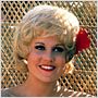 Grease 2 - Os Tempos da Brilhantina Voltaram