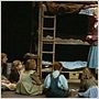 Dogville