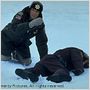 Fargo