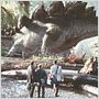 O Mundo Perdido - Jurassic Park