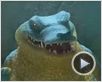 Outback - Uma Galera Animal Trailer Original Outback - Uma Galera Animal Trailer Original