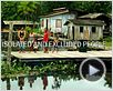 Expedição Viva Marajó Trailer Original Expedição Viva Marajó Trailer Original