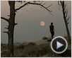 Trailer 1 - Português Trailer 1 - Português