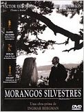 Morangos Silvestres
