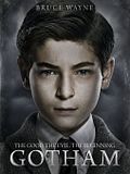 Gotham (2014) Gotham (2014)