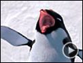 Happy Feet - O Pingüim Trailer (2) Original