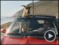 Marmaduke Teaser Original