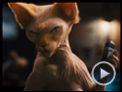 Christina Applegate, James Marsden, Bette Midler Interview : Como Cães e Gatos 2 - A Vingança de Kitty Galore