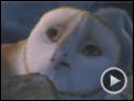 A Lenda dos Guardiões Trailer Original