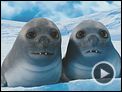 Happy Feet 2 - O Pinguim Trailer (2) Original
