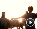 Na Natureza Selvagem Trailer Original
