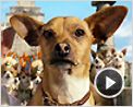 Perdido pra Cachorro Trailer Original