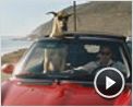 Marmaduke Teaser Original
