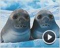 Happy Feet 2 - O Pinguim Trailer (2) Original