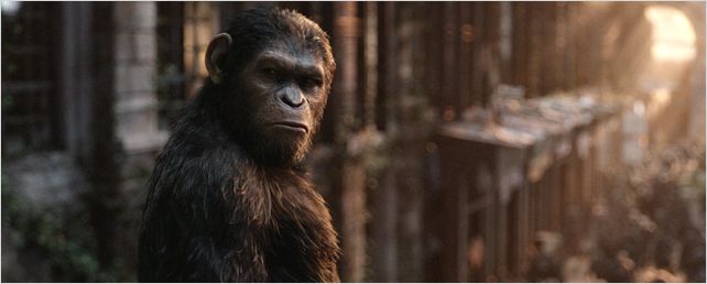 Concurso de Críticas: Conheça o autor do melhor texto sobre Planeta dos Macacos: O Confronto Concurso de Críticas: Conheça o autor do melhor texto sobre Planeta dos Macacos: O Confronto