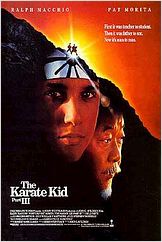 Karatê Kid 3 - O Desafio Final