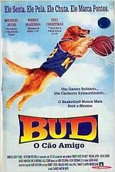 Bud, O Cão Amigo