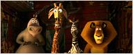 Assista ao novo trailer de Madagascar 3: Os Procurados