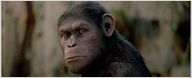 Diretor de Planeta dos Macacos - A Origem pode desistir de continuação