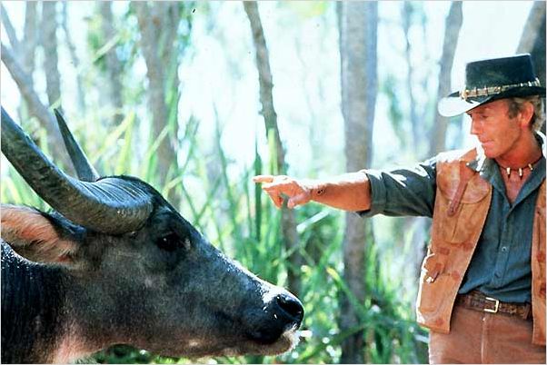 Там, где сияет Южный Крест: круиз Rhapsody of the Seas из Сиднея в Сингапур, апрель 2015