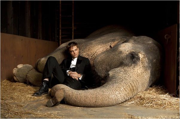 Água para Elefantes : foto