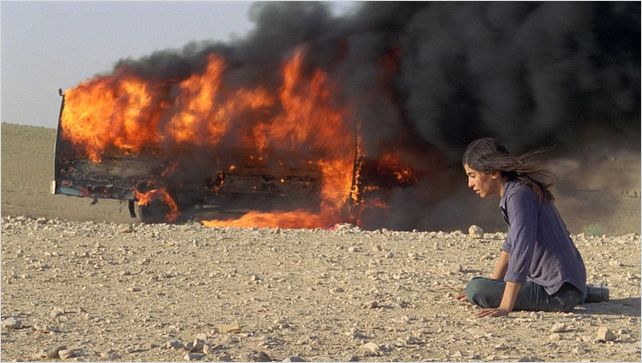 Incêndios : foto