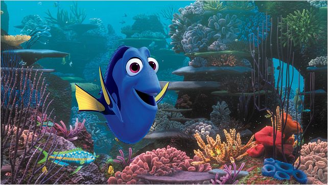 Procurando Dory : Foto