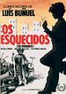 Os Esquecidos