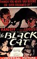 O Gato Preto