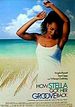 A Nova Paixão de Stella