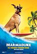 Marmaduke