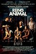 Reino Animal