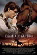 Cavalo de Guerra