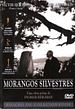 Morangos Silvestres