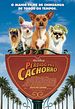 Perdido pra Cachorro