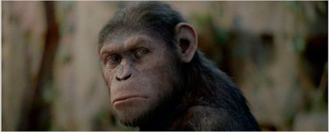 Diretor de Planeta dos Macacos - A Origem pode desistir de continuação